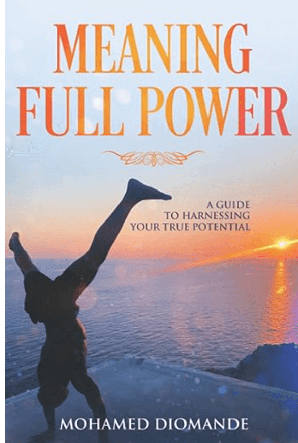 Meaning Full Power Book